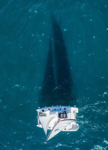 Catamaran Ocean Shadows by Ido Meirovich