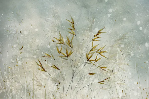 Wintertime by Nel Talen
