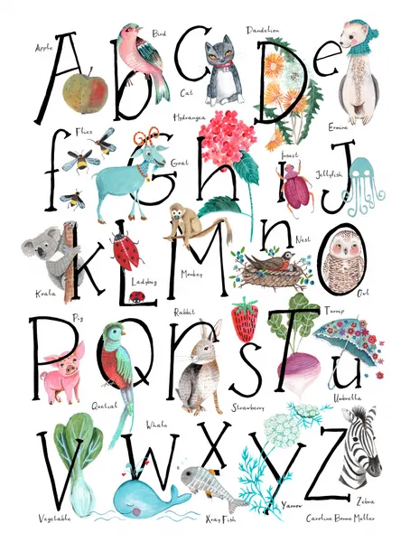 ABC illustration by Caroline Bonne Müller