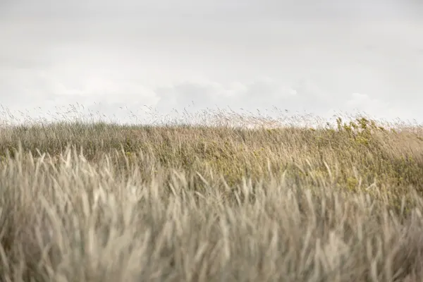 Dunes and Clouds 2 by Mareike Böhmer