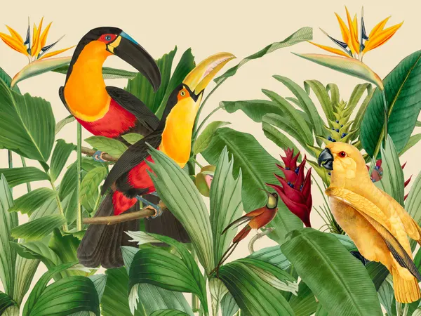 Exotic Rainforest Birds by Andrea Haase