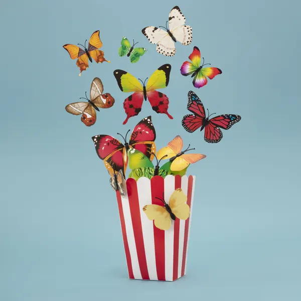 Colorful Popcorn Butterflies by Julia Ramiro