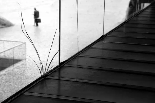 Urban Solitude Growth by Fernando Alves