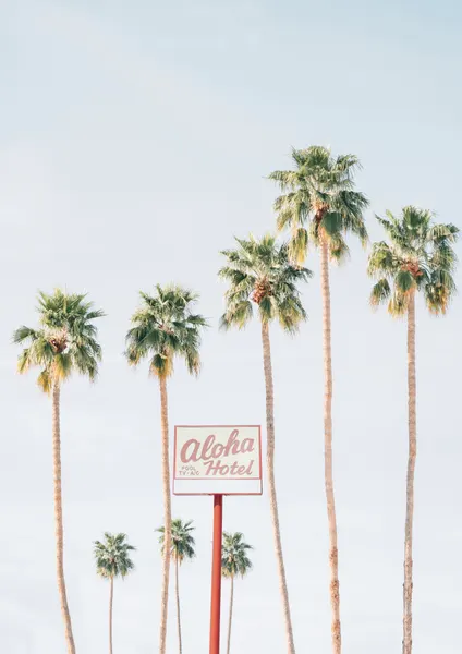 Aloha Hotel by Kathrin Pienaar