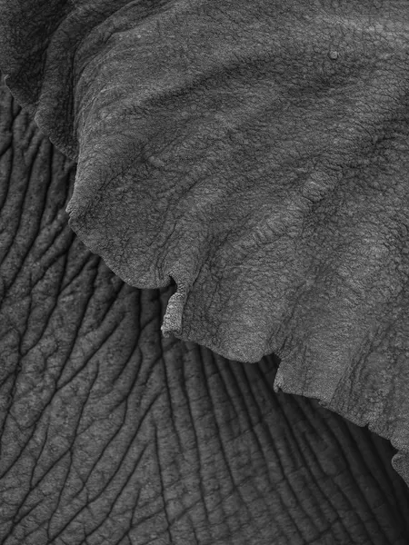 Wrinkles of Time by Shot by Clint