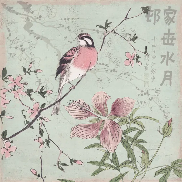 Pink Bird Cherry Blossoms by Andrea Haase
