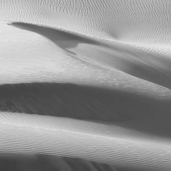 Desert Dune Waves by Ｌi  Xiaochun