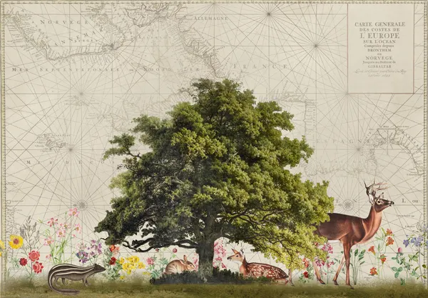 Woodland Animals on Map by Andrea Haase