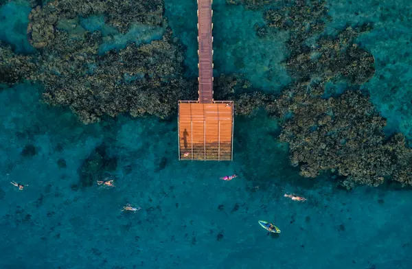 Tropical Pier Activities by Ido Meirovich