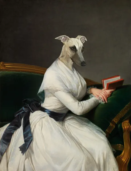 Elegant Whippet Reader by Florent Bodart
