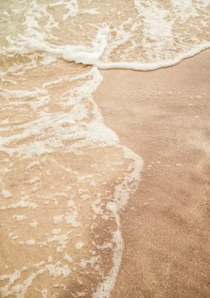 Sandy Shore Embrace by Shot by Clint