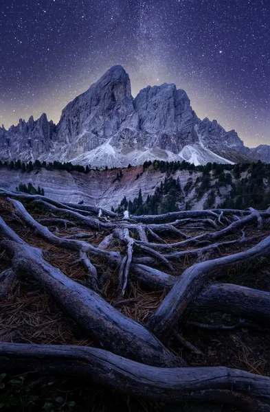 Wurzjoch by David Ilkovic EP AFIAP