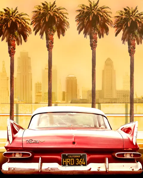 Vintage Drive City Palms by LARRY BUTTERWORTH