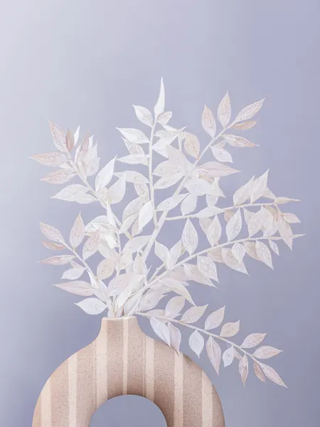 Ruscus by Kathrin Pienaar