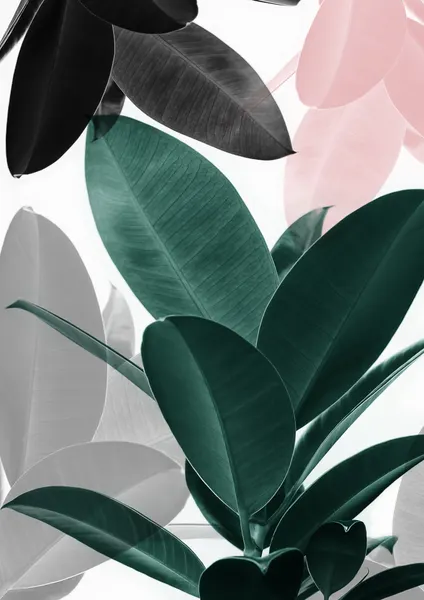 Leaf Play by Kathrin Pienaar