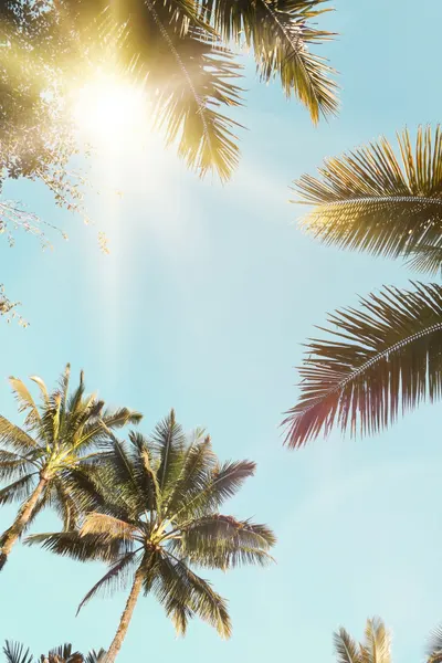 Sun Rays by Kathrin Pienaar
