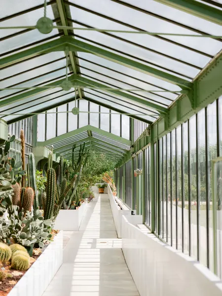 Botanical garden of Paris by Raisa Zwart