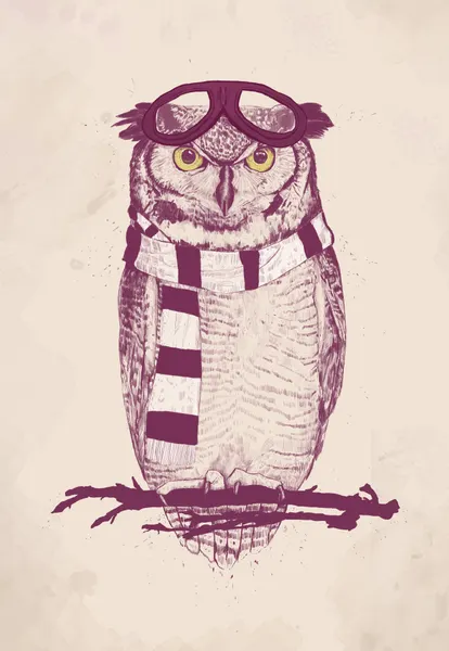 Whimsical Pilot Owl by Balazs Solti