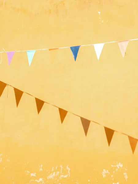 Mexican Flags by Raisa Zwart