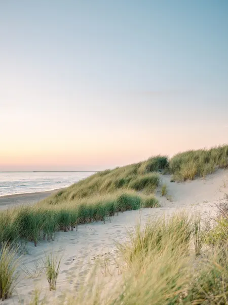 Dutch Dunes by Raisa Zwart