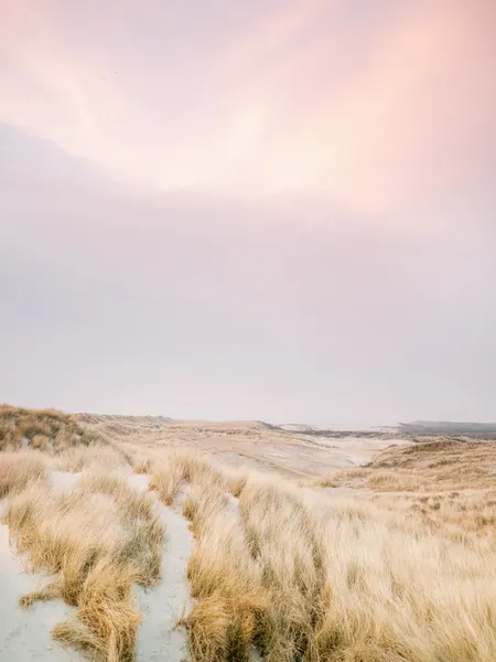 Ameland Dunes 1 by Raisa Zwart