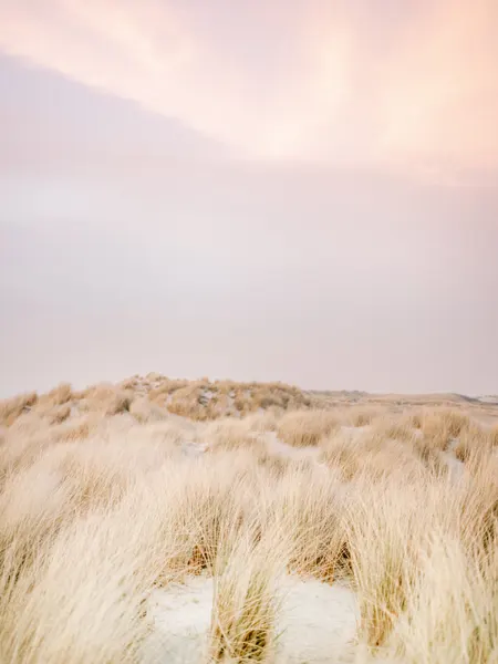 Ameland Dunes 2 by Raisa Zwart