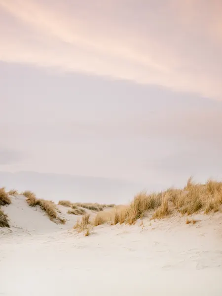 Ameland Dunes 3 by Raisa Zwart
