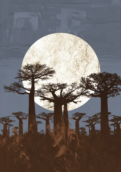 Moonlit Baobab Trees by Fadil Roze