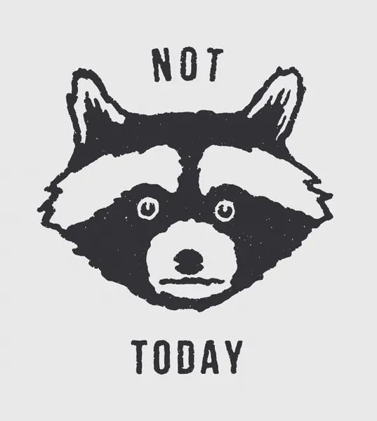 Grumpy Raccoon Not Today by Florent Bodart