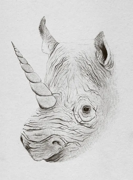 Mythical Rhino Portrait by Florent Bodart