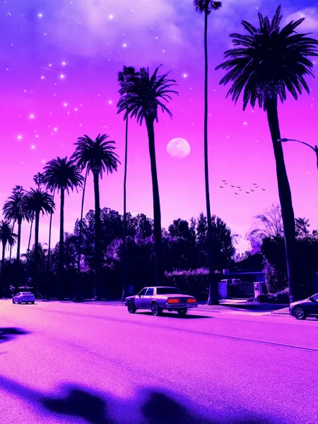Purple Palm Street Dream by Ritvik takkar