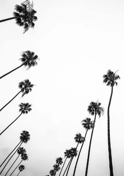 Whispers in the Sky by Shot by Clint