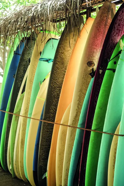 Surfboard Symphony by Shot by Clint