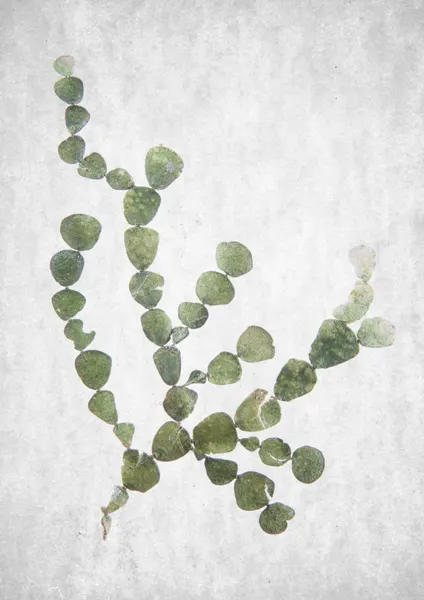 This Minimalist Artwork by Shot by Clint