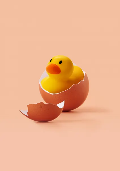 Hatched Rubber Duck by Artem Pozdniakov