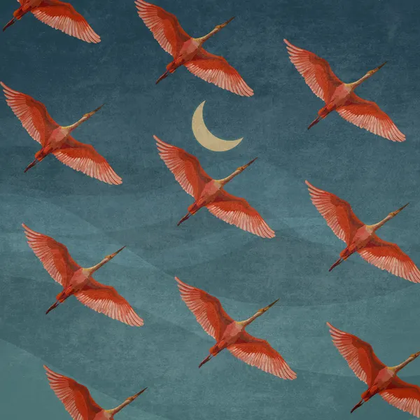 Crimson Flight Nights by Emel Tunaboylu