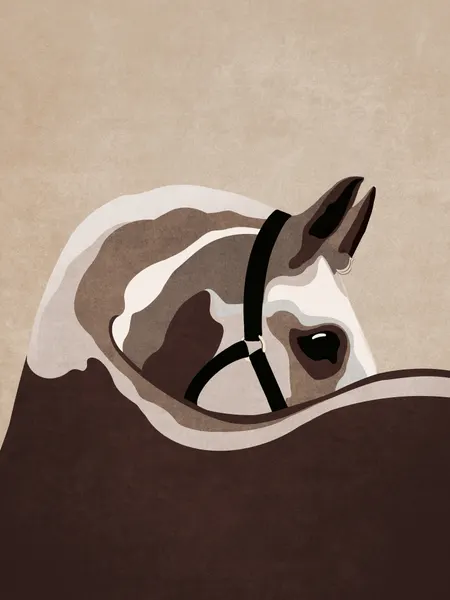 Majestic Equine Gaze by Emel Tunaboylu
