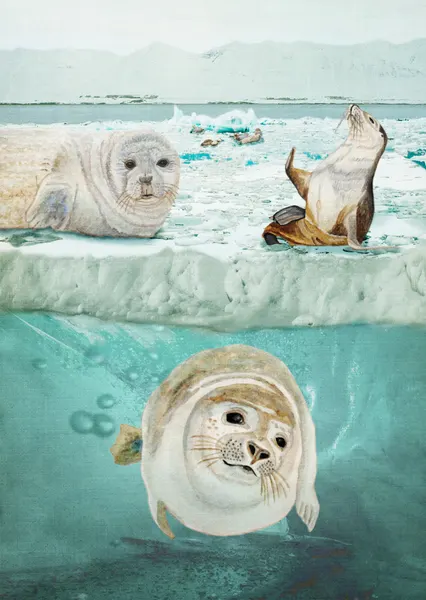 Seals Above And Below by Angeles M. Pomata