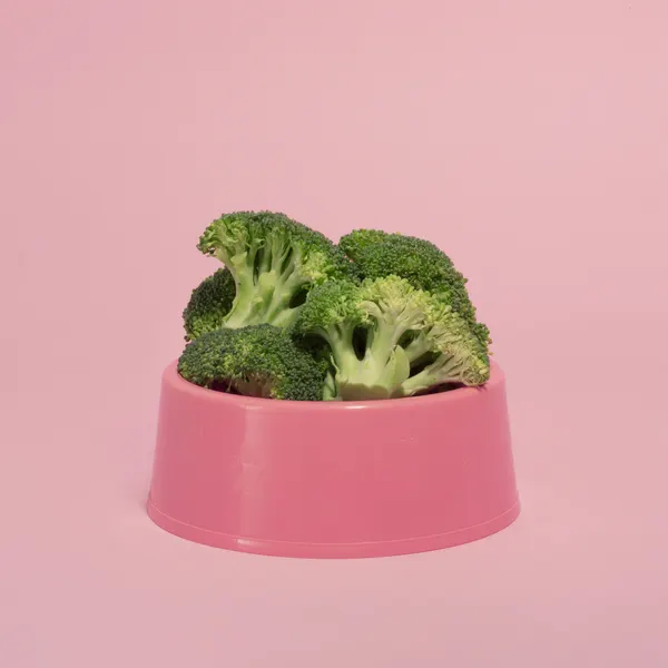 Fresh Broccoli Pink Bowl by Julia Ramiro