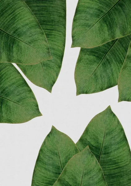 Fresh Tropical Leaves by Orara Studio