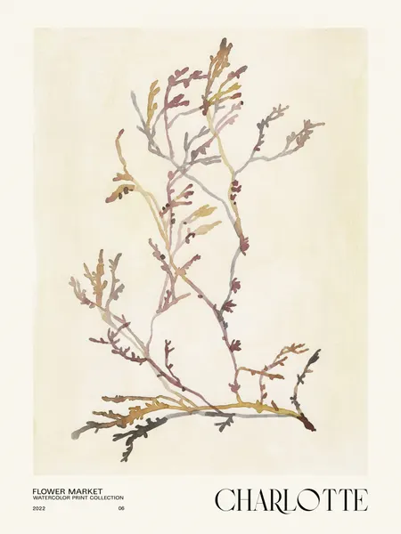 Watercolor print collection. Flower market - Charlotte by NKTN