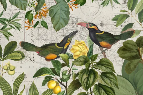 Tropical Toucans Map by Andrea Haase