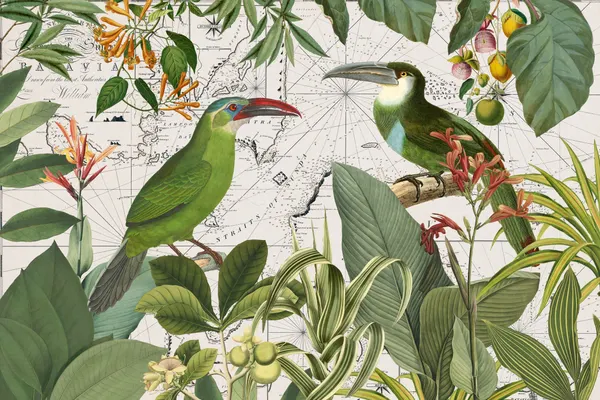 Tropical Birds Vintage Map by Andrea Haase