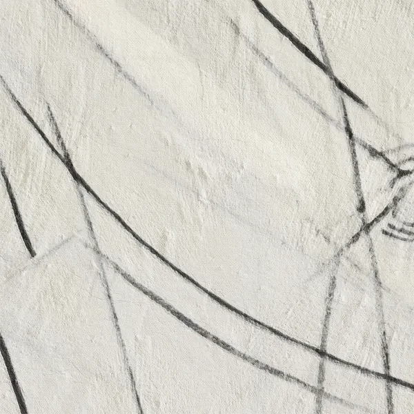 Abstract Black Lines by Alma