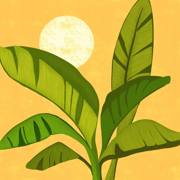 Sunny Golden Tropics by Kristian Gallagher