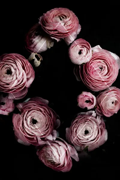 Blooming Geometry 1 by Mareike Böhmer