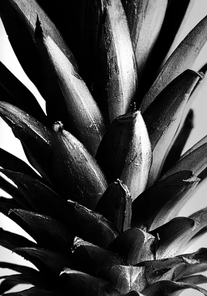 Bold Pineapple Texture by Pictufy Studio III