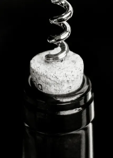 Uncorking The Wine by Pictufy Studio III