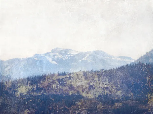 Misty Mountain Forest by Gemma Bardot