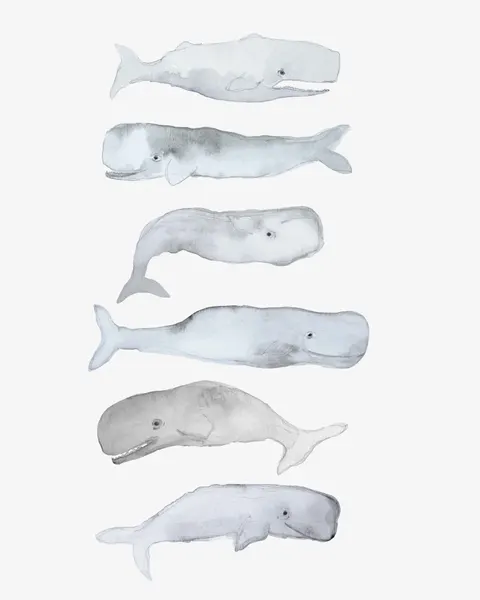 Watercolor Sperm Whales by Gemma Bardot
